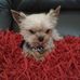 Eileen Short - Facebook