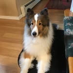 Eileen Sill - @memeleen511 - Instagram