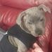 Eileen Sills - Facebook
