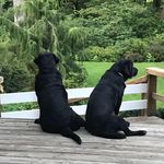 Eileen Scully Simmons - @eileenscullysimmons - Instagram