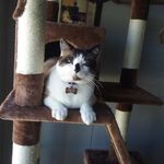 Eileen Simmons - @ersimmons1947 - Instagram