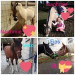 Eileen Simon - @eileensimon9642 - Instagram