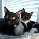 Christina Eileen Smart - @crisgoofy69 - Instagram