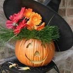 Eileen R Snow - @ersnow2008 - Instagram