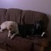 Eileen Snow - Facebook