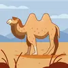 Weanercracker - @eileensnyder40 - TikTok