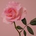 Eileen sofia - Facebook