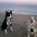 Eileen Sokol - Facebook