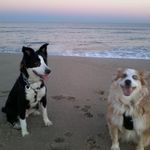 Eileen Sokol - @sokoleileen - Instagram