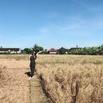Eileen Song - @eileen.song.3785 - Instagram