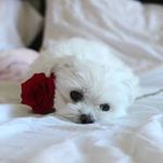 Eileen Song - @eileensong - Instagram