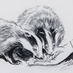 Eileen Soper's Diary - @badgerdiaries - Instagram