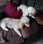 Eileen Sperow - Facebook