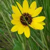 Eileen Spaulding - @eileen.spaulding5 - TikTok