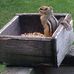 Eileen Spaulding - Facebook