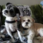 Eileen Spencer - @exsheff62 - Instagram