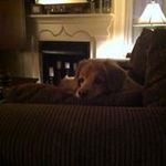 Eileen Murray Spillane - @espillane403 - Instagram