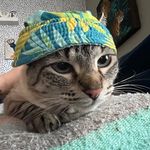 Eileen Spoor - @_roryyyyyyyyy_ - Instagram