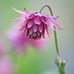 Eileen Spoor - Facebook