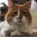 Eileen Springer - Facebook