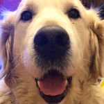 Eileen Stack - @eil5198 - Instagram