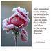 Ellen Stallsmith - Facebook