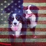 Eileen Stanfield - Facebook