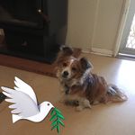 Eileen Stanley - @eileenstanley62 - Instagram