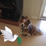 Eileen Stanley - @eileen__stanley - Instagram
