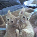 Eileen Staub - Facebook
