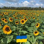 Eileen Stauber Sharit - @staubere_ - Instagram