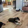 Eileen Stecher - @eileen.stecher - TikTok