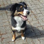 eileen - @eileensteens27 - Instagram
