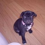 Eileen Steen - @eileensteen - Instagram