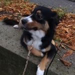 Eileen Steens - @eileensteens - Instagram