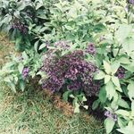 Eileen Steinberg - @eileensteinberg101 - Instagram