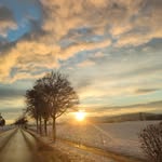Eileen Steiner - @eileensteiner6 - Instagram