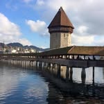 Eileen Steiner-Harris - @liebelucern - Instagram