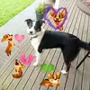 steinereileen - @steinereileen - TikTok