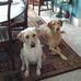 Eileen Stock - Facebook