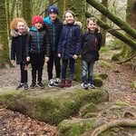 Eileen Stokes - @e.s754570 - Instagram