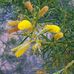 Eileen Stokes - Facebook