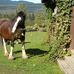 Eileen Storey - Facebook