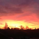 Eileen Storey - @storey732 - Instagram