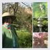 Eileen Storey - Facebook