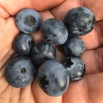 Eileen Stowe - @czczstowe - Instagram
