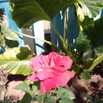Sitraka Alain - Facebook