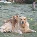 Eileen Streeter - Facebook