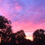 Eileen - @eileenstuart75 - Instagram