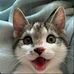 Alain Stuber - Facebook
